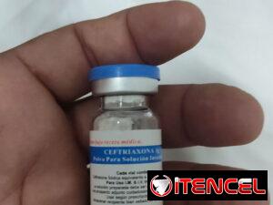 ba5a89339780479b8f5b51411eaead22b94738d23411fd69ea6db473409570b9