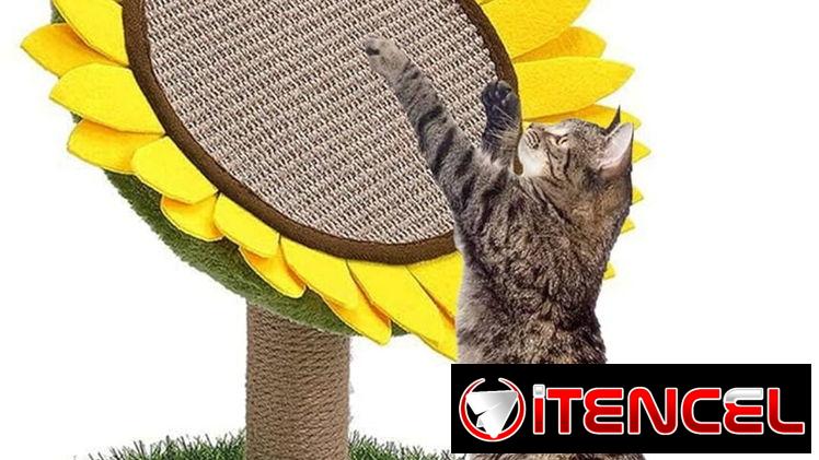 Rascadores para Gatos [ Diferentes Modelos]