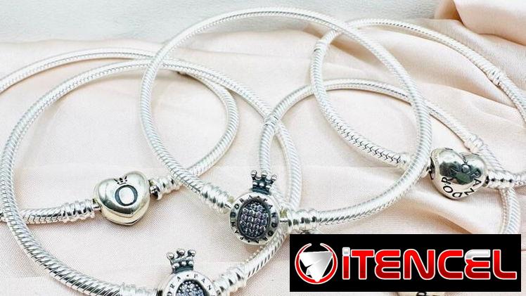 Pulsera Pandora Moments