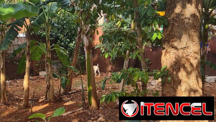 Casa grande con apartamento independiente en cojimar habana del este