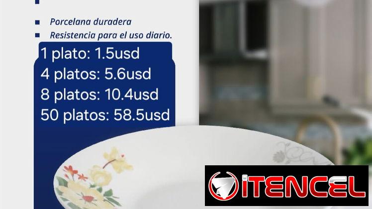 Platos de porcelana