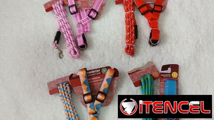 ✅️Areos y Cintas para mascotas✅️