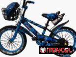 Bicicleta con cesta