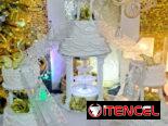 Fiesta de Quinceañeras ‼️