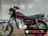 Moto de combustión VIKING
