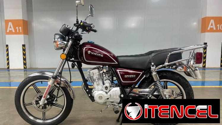 Moto de combustión VIKING