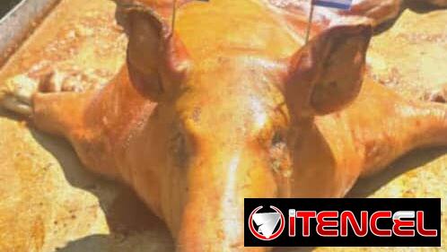 Comida🥗criolla y cerdo🐖asado con sabores 😋 exquisitos🔥listo para cualquier ocasión especial ✅️escríbenos ya!!