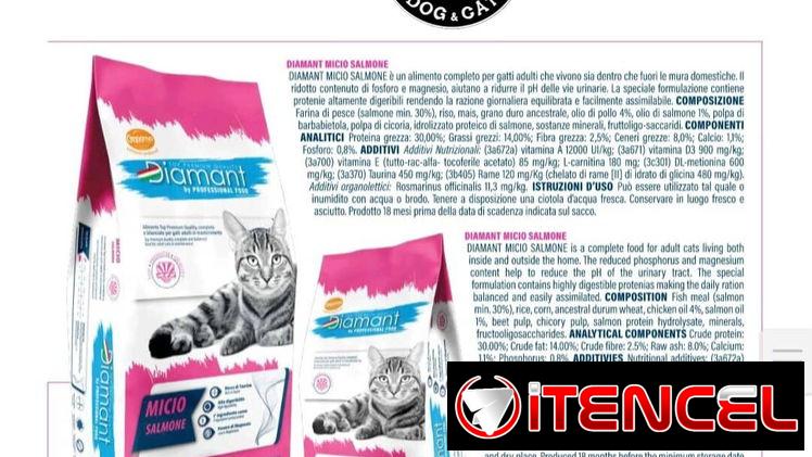 PIENSO IMPORTADO PARA GATOS 🐱 BOLSA 15 Kg [ SALMON ]