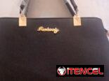 Cartera negra