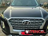 Vendo o negocio Hyundai Palisades 2020 caligrafhy
