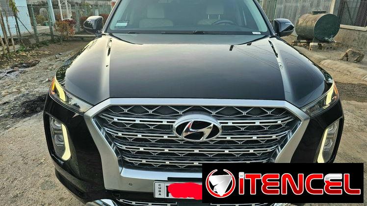 Vendo o negocio Hyundai Palisades 2020 caligrafhy
