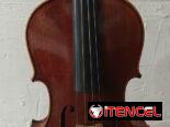Se vende Viola