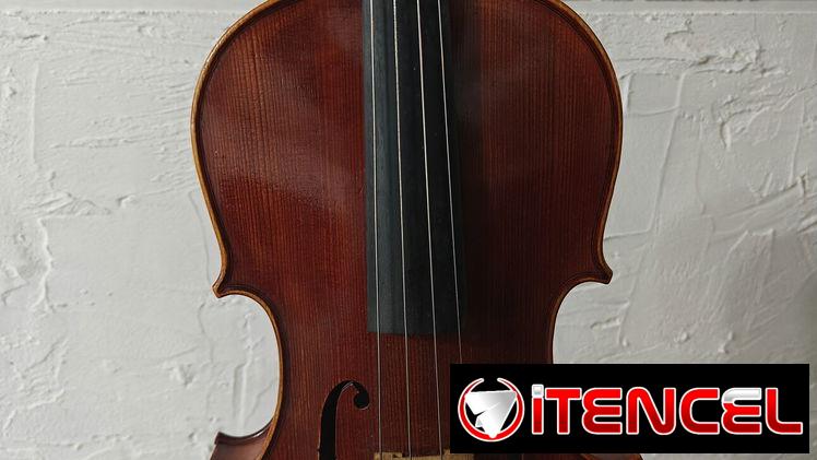 Se vende Viola