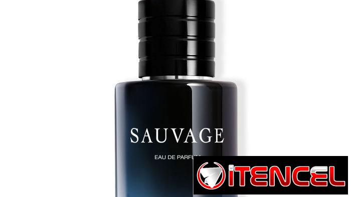 Perfumes Originales Importados. Tenemos disponibilidad en cuba y por encargos. Encuentra tu fragancia ideal en Claar