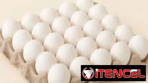 ‼️Contenedor de huevo blanco ‼️ ‼️POR IMPORTACIÓN ‼️ ….YA NACIONALIZADOS…..