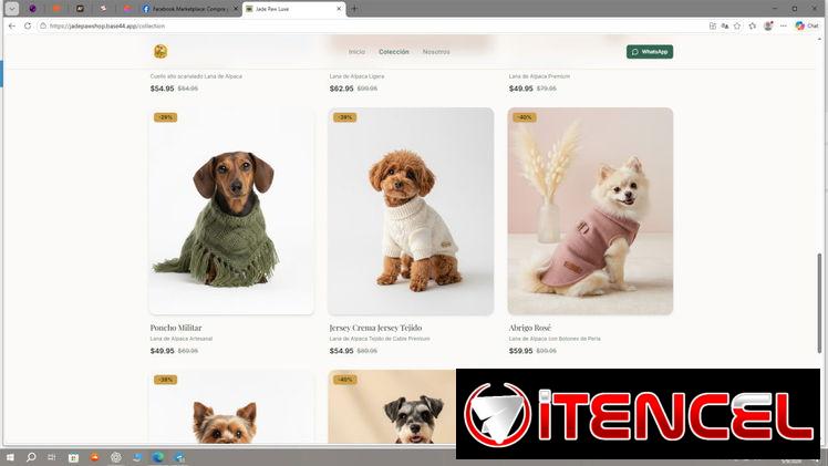 ¿Necesitas una página web? Te la creo rápido y barata