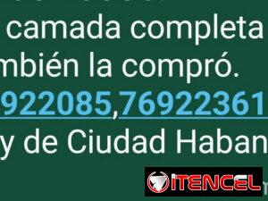 bd8a2ba92ac5c3157b83213f2a96e0bc194c93b8e4911461ee6595e9cacb5ec0