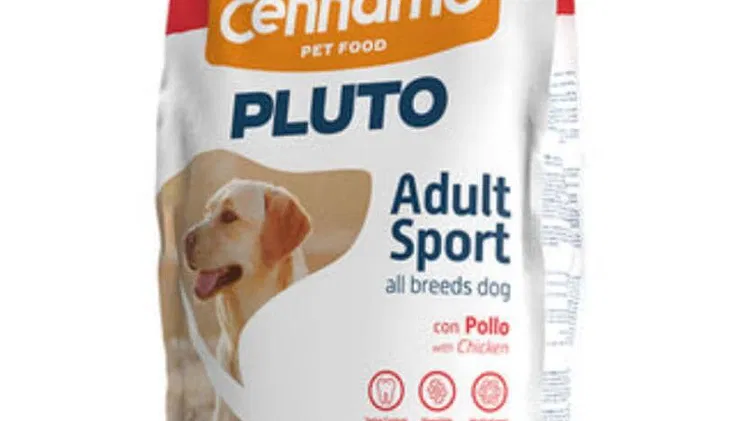 Pienso para perros