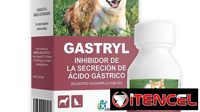 GASTRYL INHIBIDOR