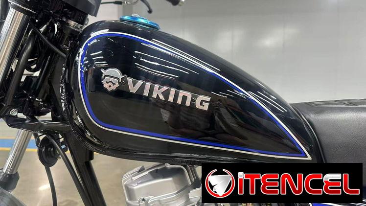 Moto de combustión VIKING