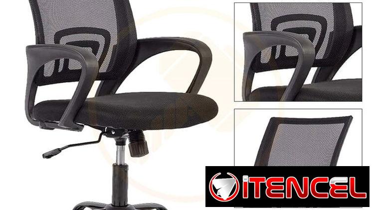 Silla de Oficina Ergonómica, con Soporte Lumbar, Reposabrazos Fijos y Patas Metálicas, Negro