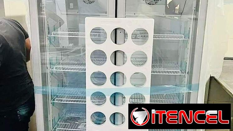 Neveras Frezzes de 10 Pies Cúbicos y Neveras Exibidoras de 20 Pies Cúbicos