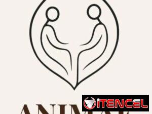 be771edfa572ac0cd19f09a0d58b29435775c8c9e99627eae1cb00d75e61ccd5