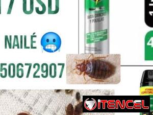 bec1ebdeced23118e74cf5b75ac2eb0560b61f81bfb8eb694957898fdf7314f5