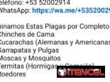 Servicio de fumigación y exterminio de plagas