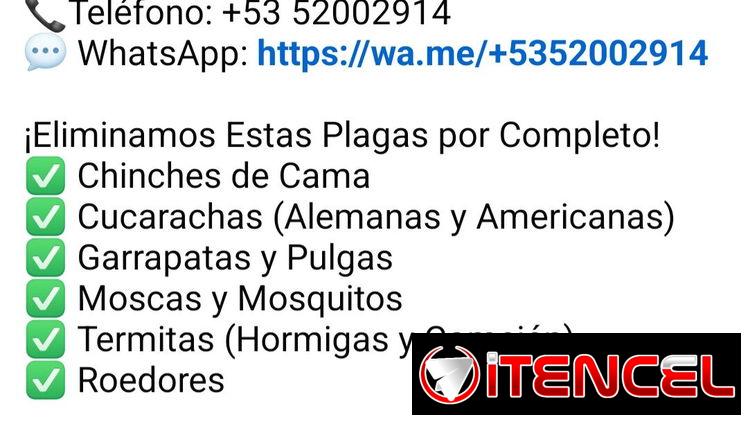 Servicio de fumigación y exterminio de plagas