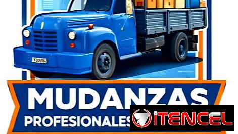 🚚Camion para carga