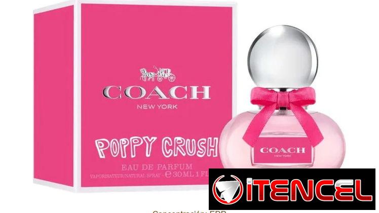 Perfumes de Diseñador Originales con Garantía de Autenticidad ✅‼️