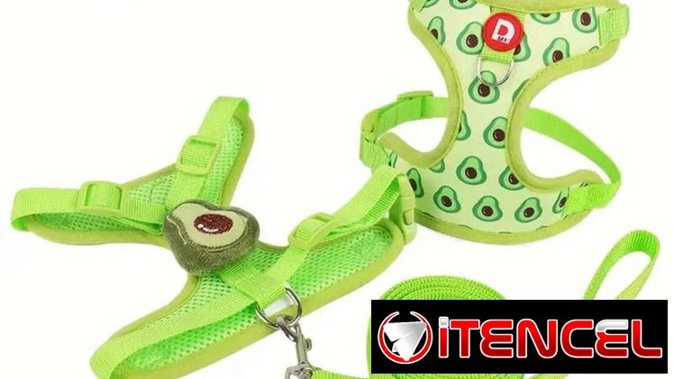 Correas con pecheras!!
