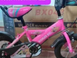 Bicicletas para niñas y niños. Medida 12