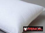Set de 2 almohadas (gv)