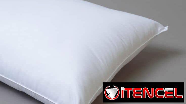 Set de 2 almohadas (gv)