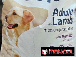 bfe11a9d31be4beff4c13494a75e9d3db50d52bc7de61553873b5aa99194ade9