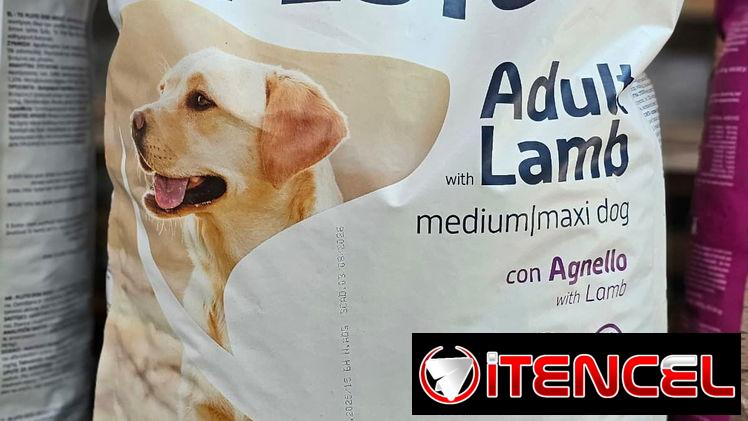 Pienso para perros adultos