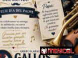 Grupo mariachis gallos de pelea!