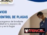 Servicio de fumigación y exterminio de plagas
