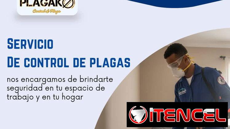 Servicio de fumigación y exterminio de plagas