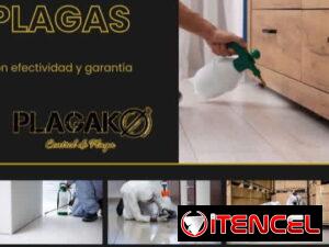 c0b319a3558d0d56dbaa6b496f304241cae282760d9b9371bce269480613ad80