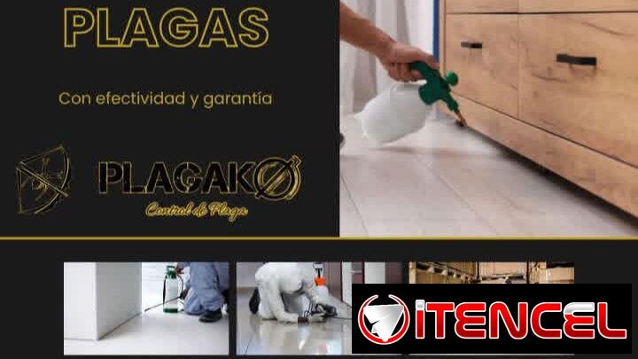 Fumigación y Veneno Servicio Completo y Seguro (PlagaKØ)