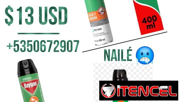 Spray Insecticida chinches,moscas, mosquitos, cucarachas