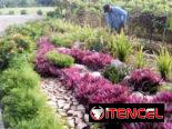 Jardinería y Limpieza de exteriores
