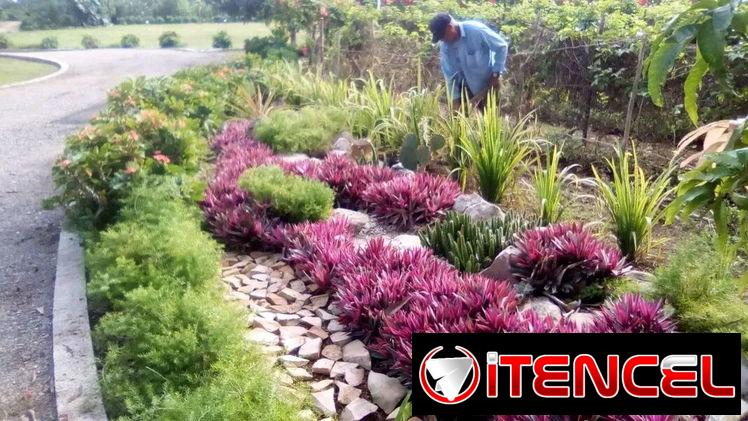 Jardinería y Limpieza de exteriores