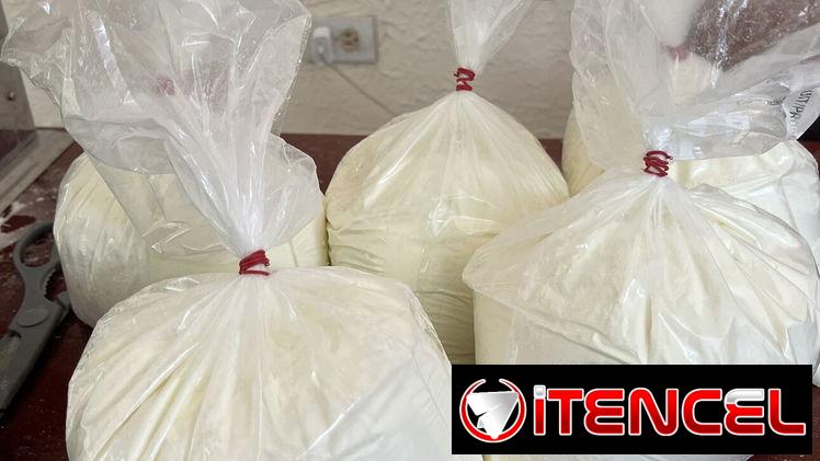 Leche en polvo descremada