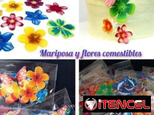 c1a00155a4f1681754cfc2b45f35264976422d8eb31f7d8ceaa3f404fca82929