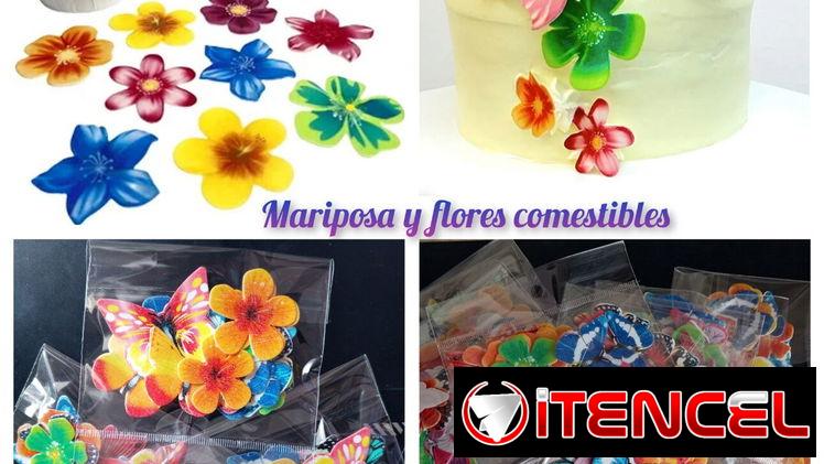 Flores comestibles