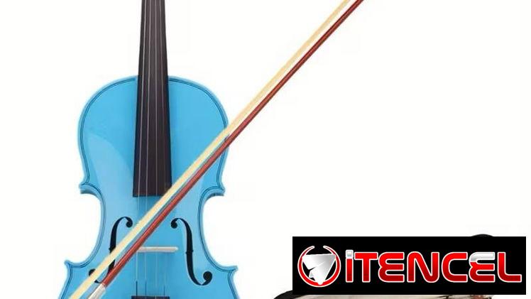 Violín Acústico 4/4